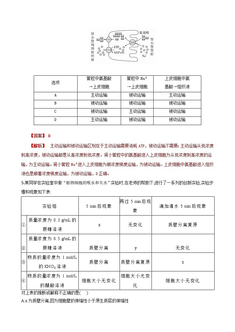 【期末考点复习】人教版(2019)生物必修1 高一上学期期末备考-考点05 物质的输入和输出（解析版）第3页