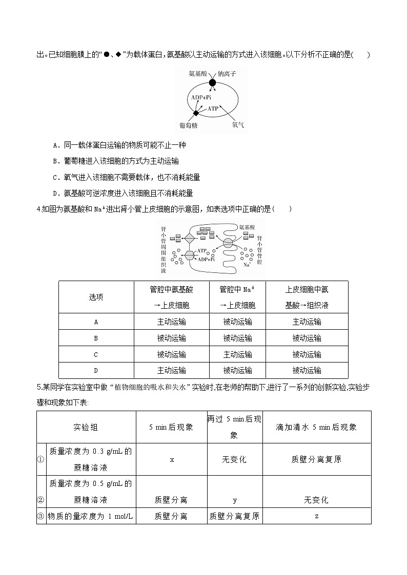 【期末考点复习】人教版(2019)生物必修1 高一上学期期末备考-考点05 物质的输入和输出（原卷版）第2页