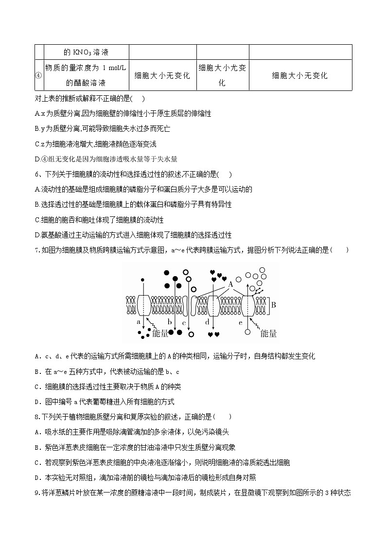 【期末考点复习】人教版(2019)生物必修1 高一上学期期末备考-考点05 物质的输入和输出（原卷版）第3页