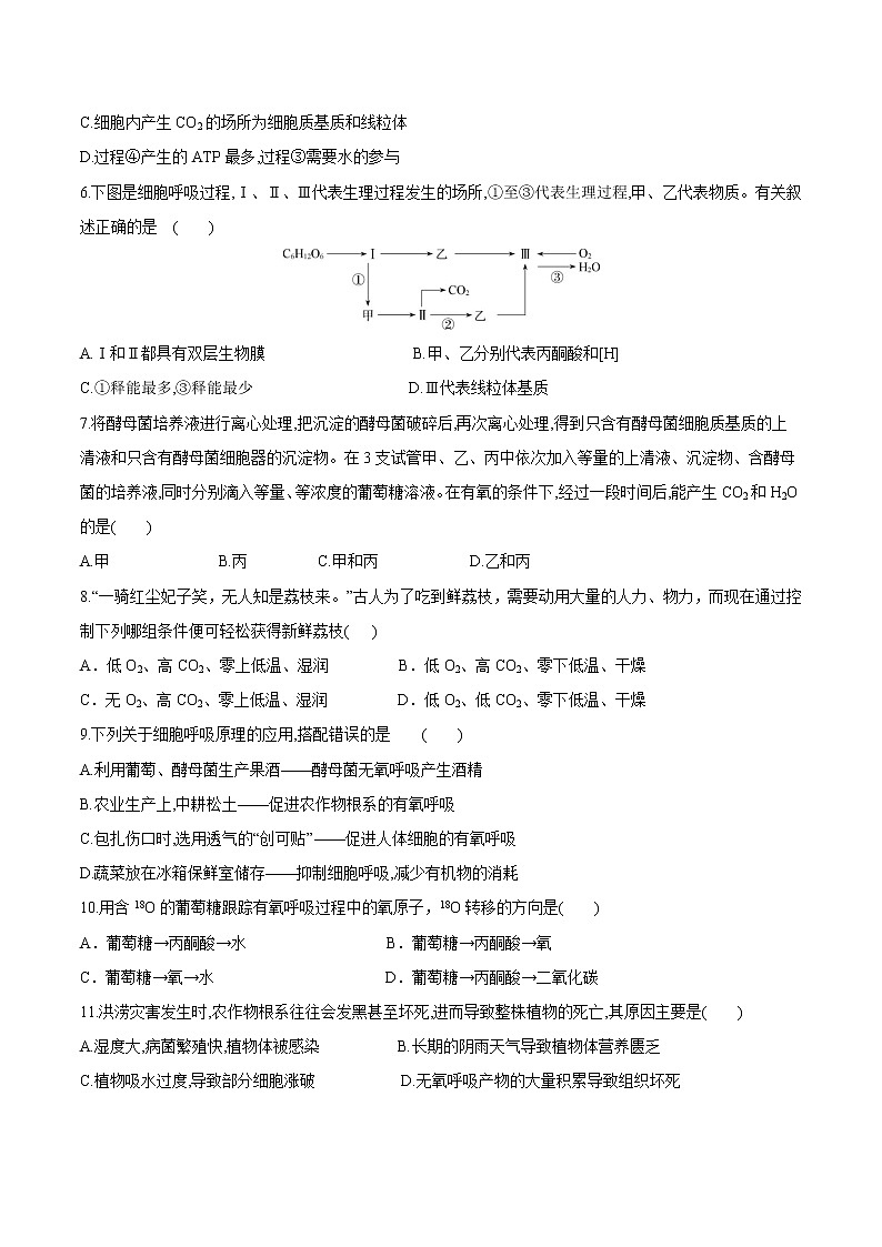 【期末考点复习】人教版(2019)生物必修1 高一上学期期末备考-考点07 细胞呼吸（原卷版）第2页