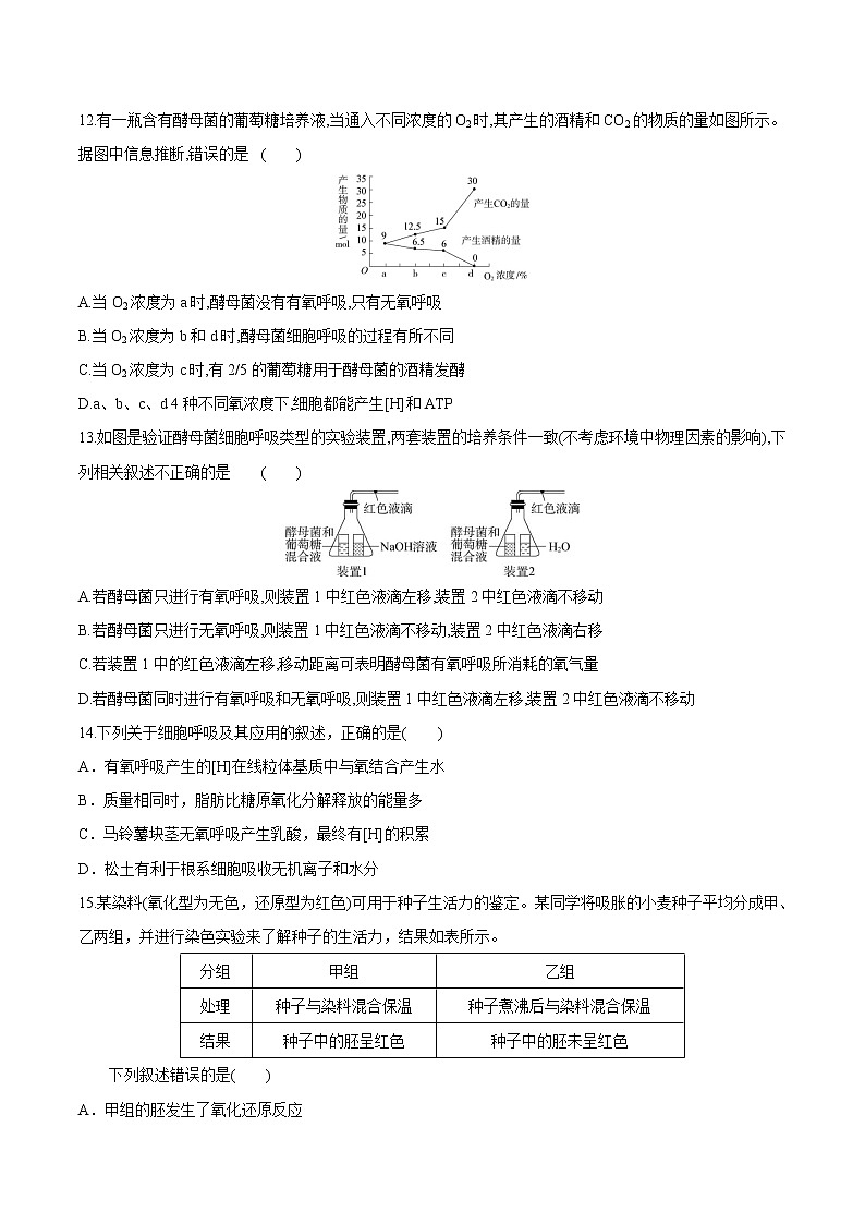 【期末考点复习】人教版(2019)生物必修1 高一上学期期末备考-考点07 细胞呼吸（原卷版）第3页