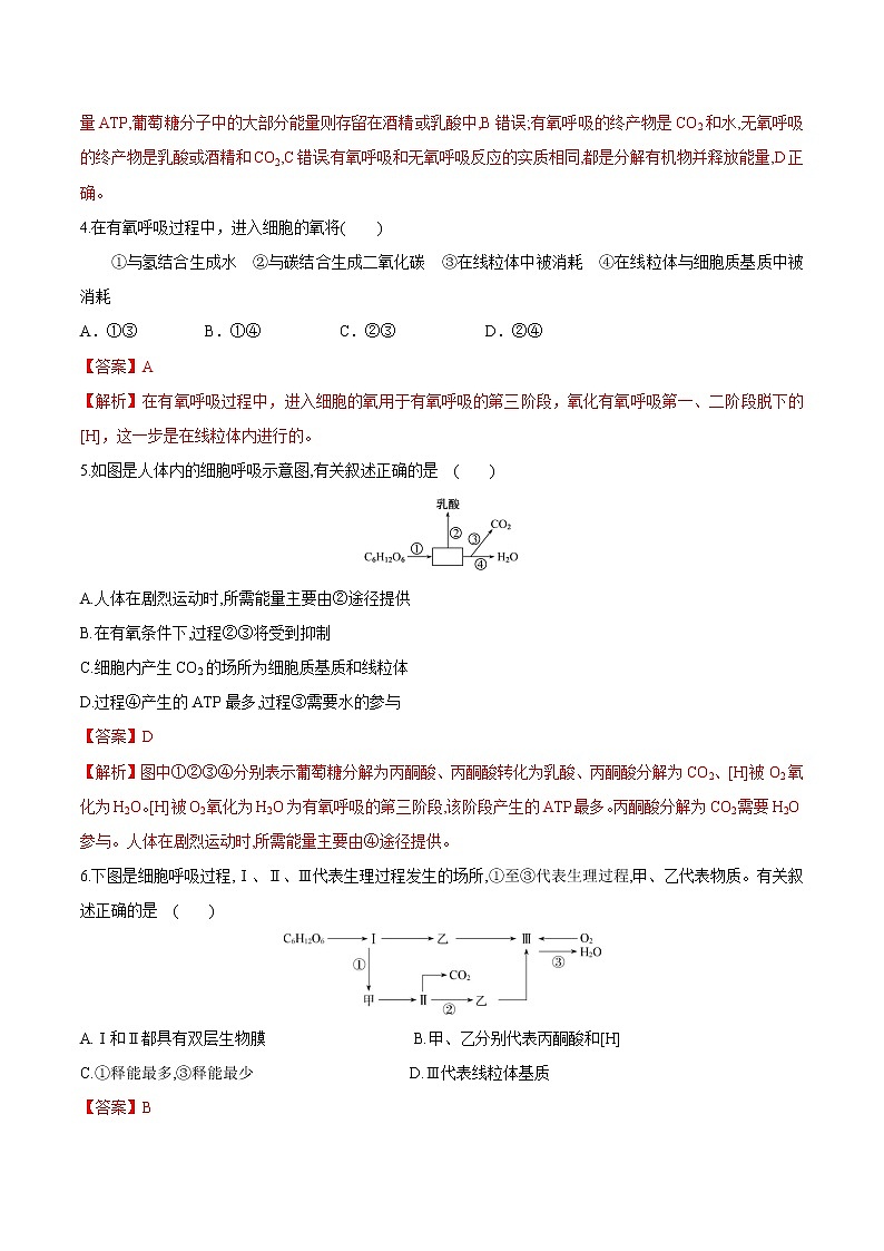 【期末考点复习】人教版(2019)生物必修1 高一上学期期末备考-考点07 细胞呼吸（解析版）第2页