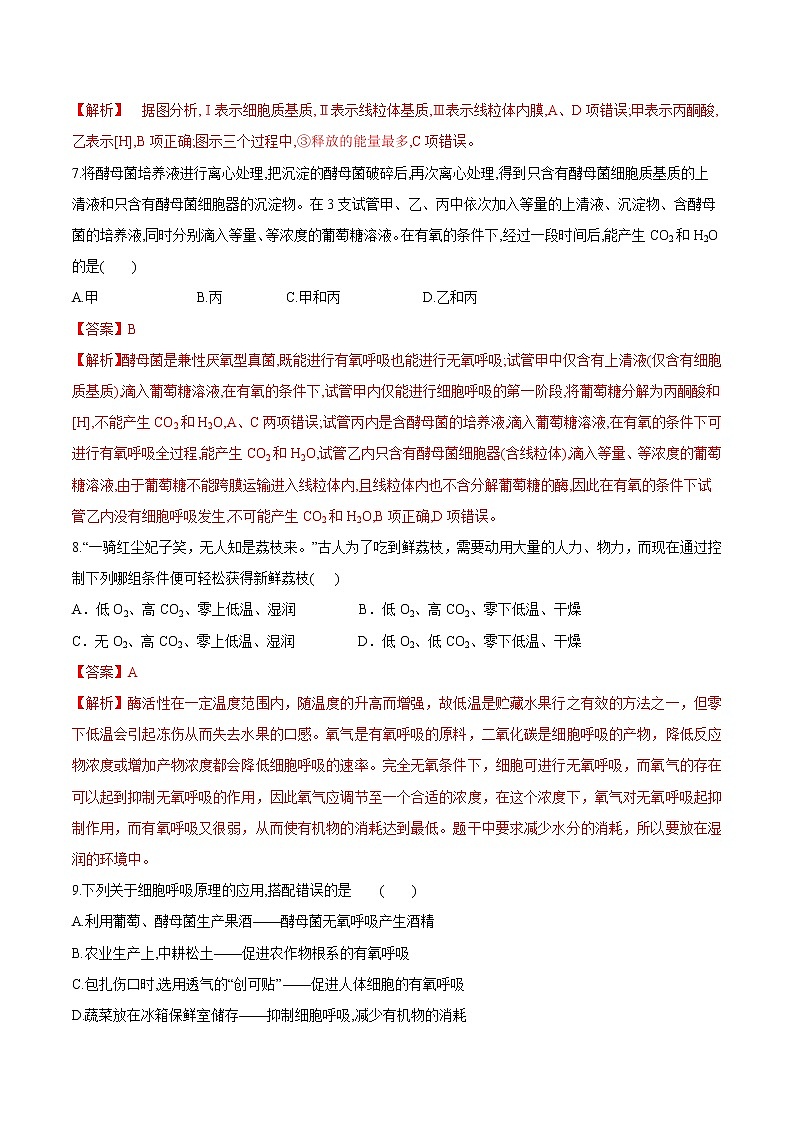 【期末考点复习】人教版(2019)生物必修1 高一上学期期末备考-考点07 细胞呼吸（解析版）第3页