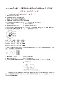 【期末考点复习】人教版(2019)生物必修1 高一上学期期末备考-考点08 光合作用