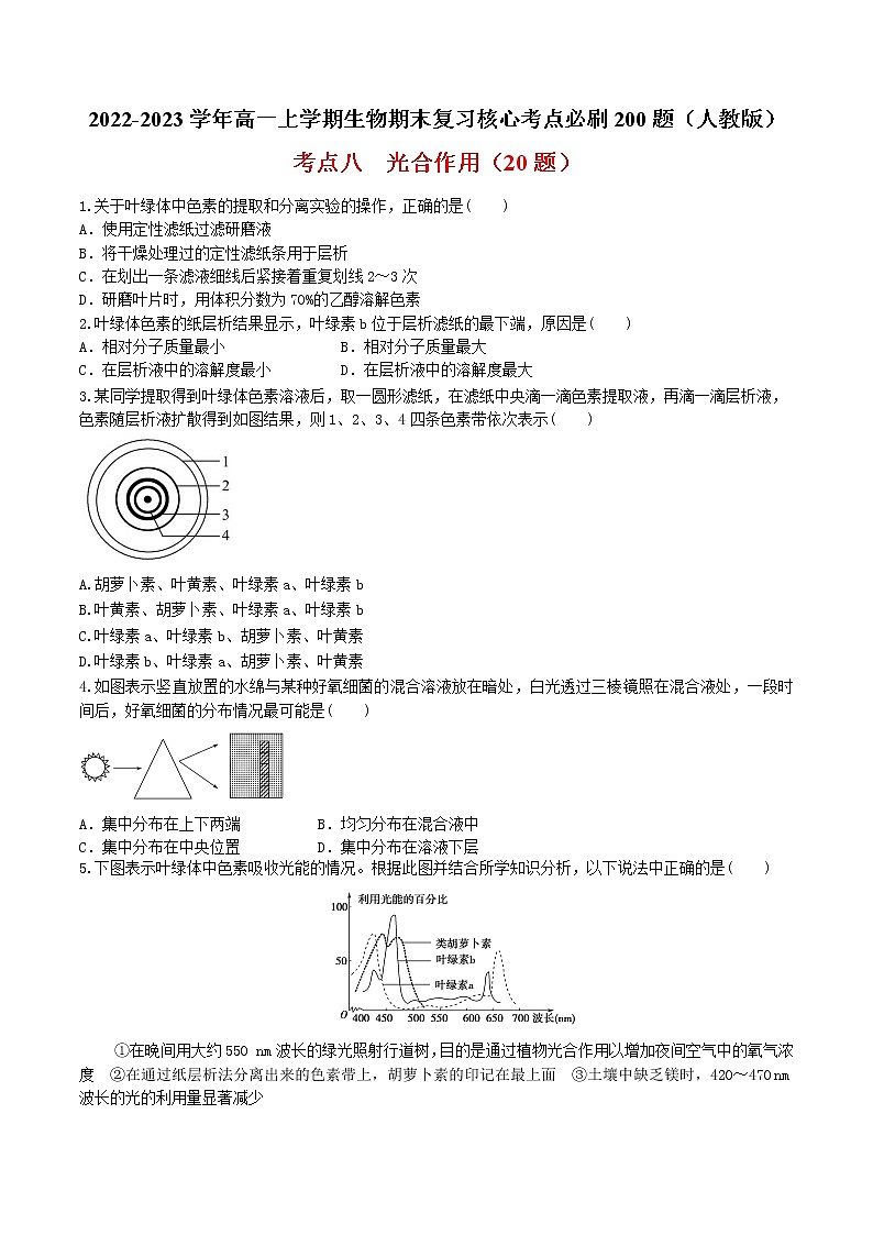 【期末考点复习】人教版(2019)生物必修1 高一上学期期末备考-考点08 光合作用（原卷版）第1页