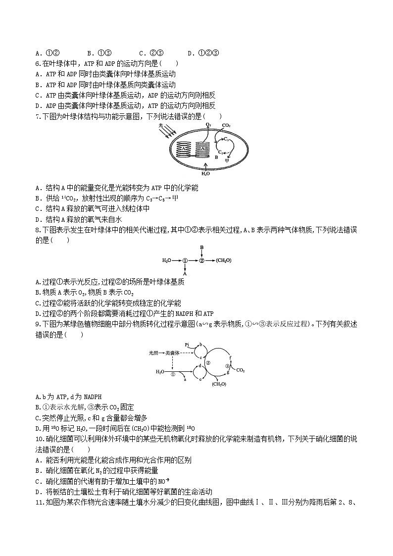 【期末考点复习】人教版(2019)生物必修1 高一上学期期末备考-考点08 光合作用（原卷版）第2页
