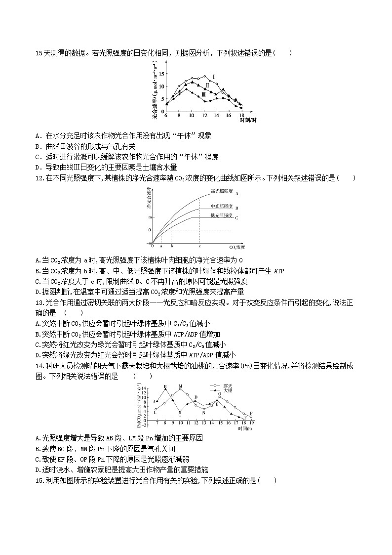 【期末考点复习】人教版(2019)生物必修1 高一上学期期末备考-考点08 光合作用（原卷版）第3页