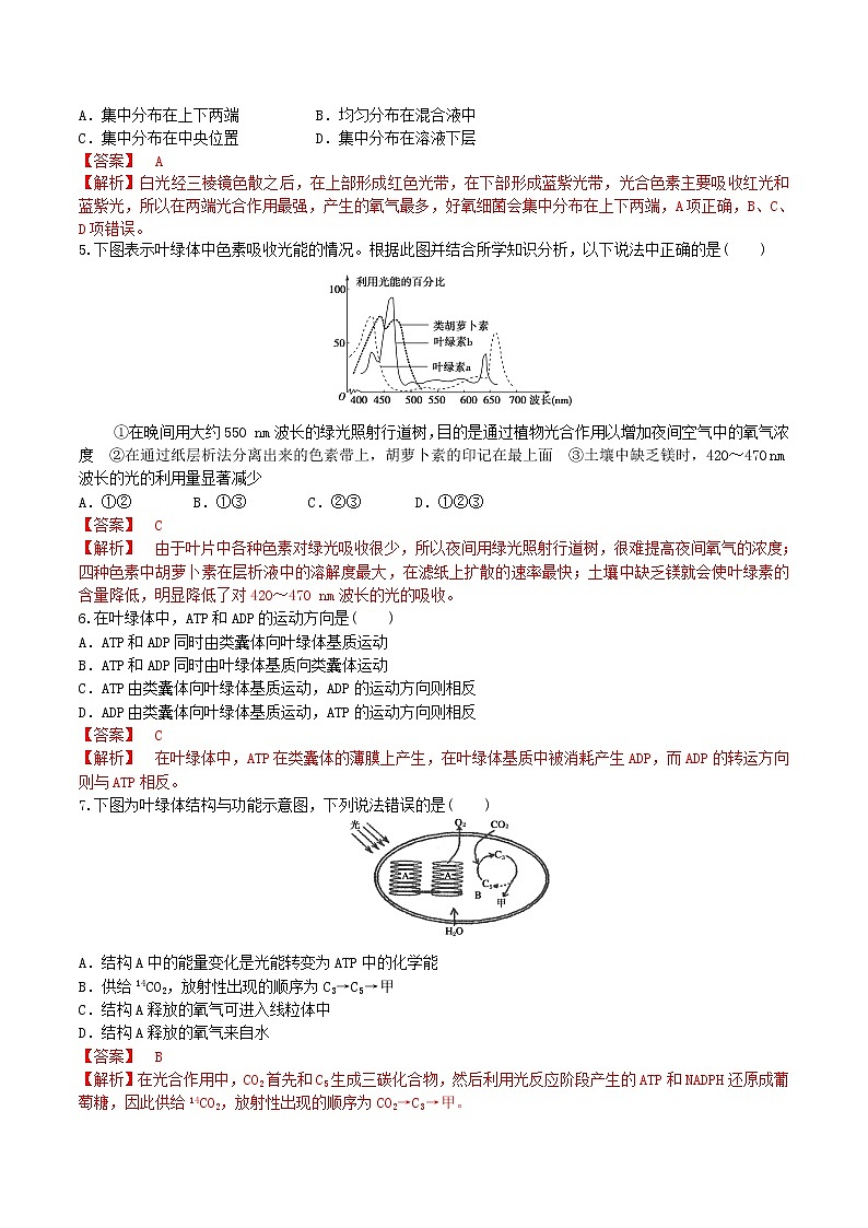 【期末考点复习】人教版(2019)生物必修1 高一上学期期末备考-考点08 光合作用（解析版）第2页