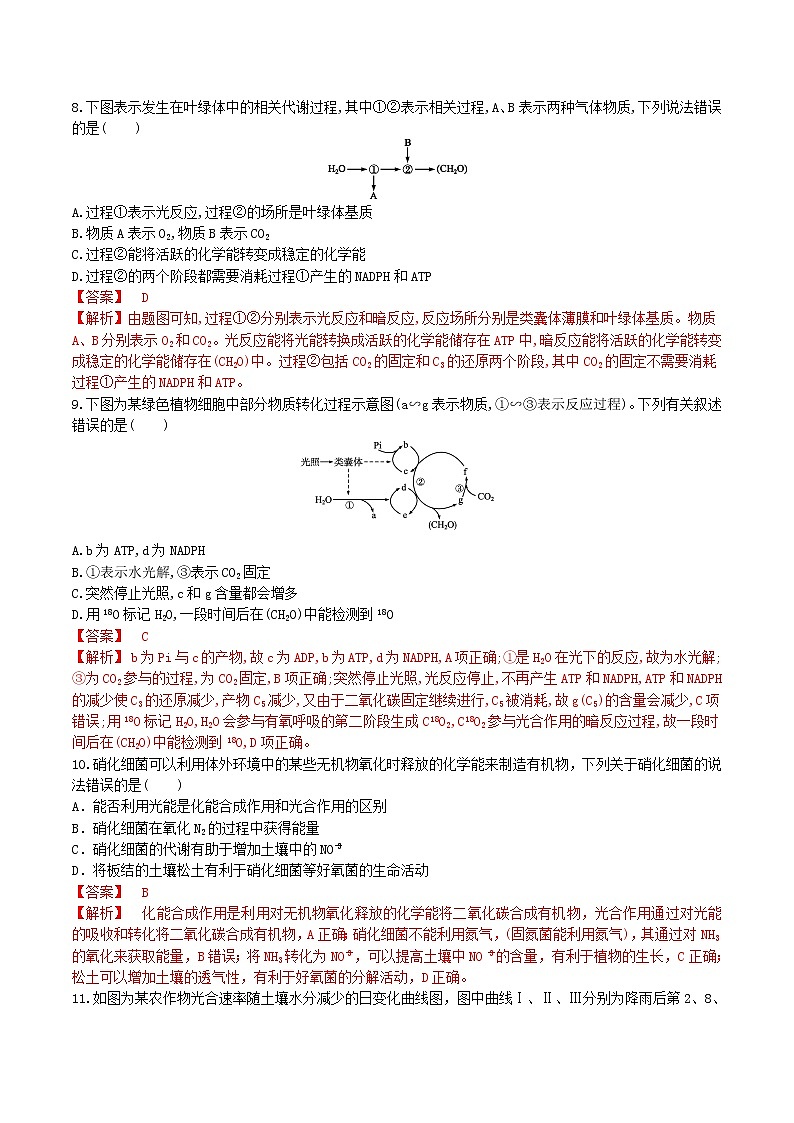 【期末考点复习】人教版(2019)生物必修1 高一上学期期末备考-考点08 光合作用（解析版）第3页