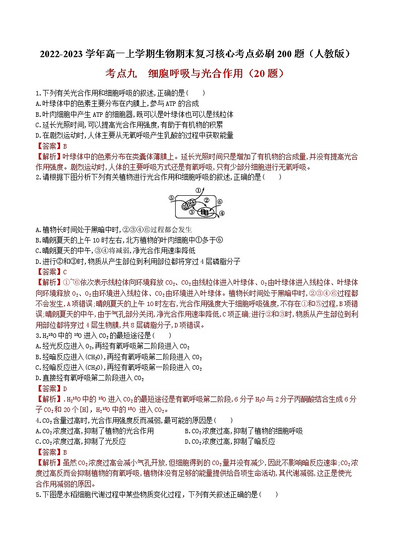 【期末考点复习】人教版(2019)生物必修1 高一上学期期末备考-考点09 细胞呼吸与光合作用（解析版）第1页