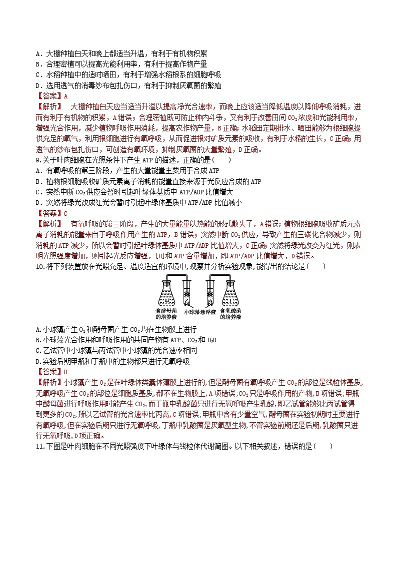 【期末考点复习】人教版(2019)生物必修1 高一上学期期末备考-考点09 细胞呼吸与光合作用（解析版）第3页