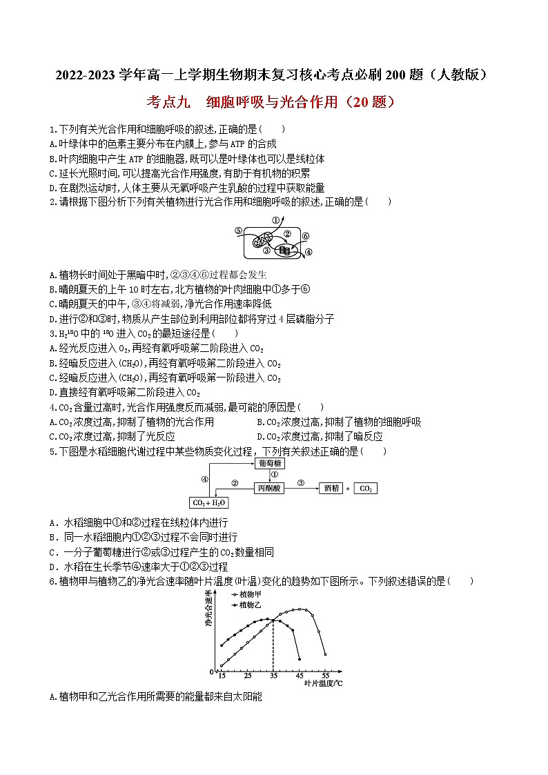 【期末考点复习】人教版(2019)生物必修1 高一上学期期末备考-考点09 细胞呼吸与光合作用（原卷版）第1页
