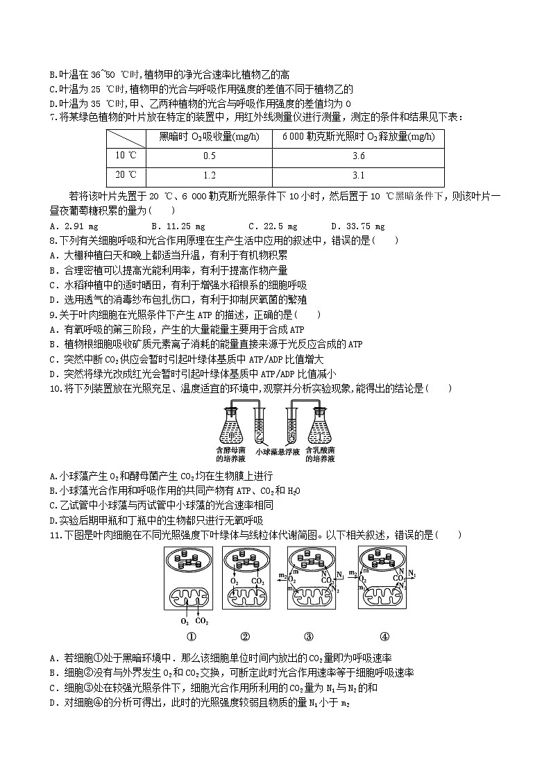 【期末考点复习】人教版(2019)生物必修1 高一上学期期末备考-考点09 细胞呼吸与光合作用（原卷版）第2页
