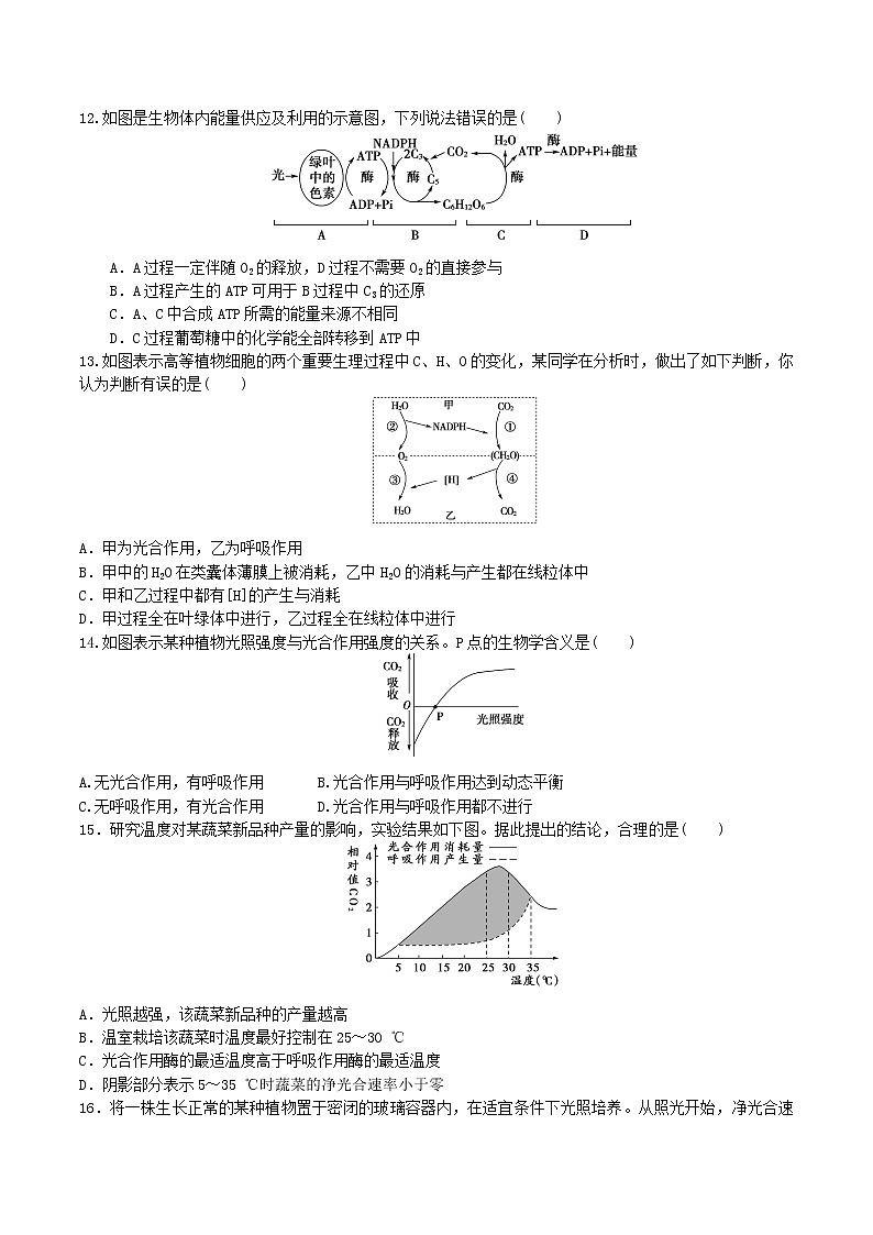 【期末考点复习】人教版(2019)生物必修1 高一上学期期末备考-考点09 细胞呼吸与光合作用（原卷版）第3页