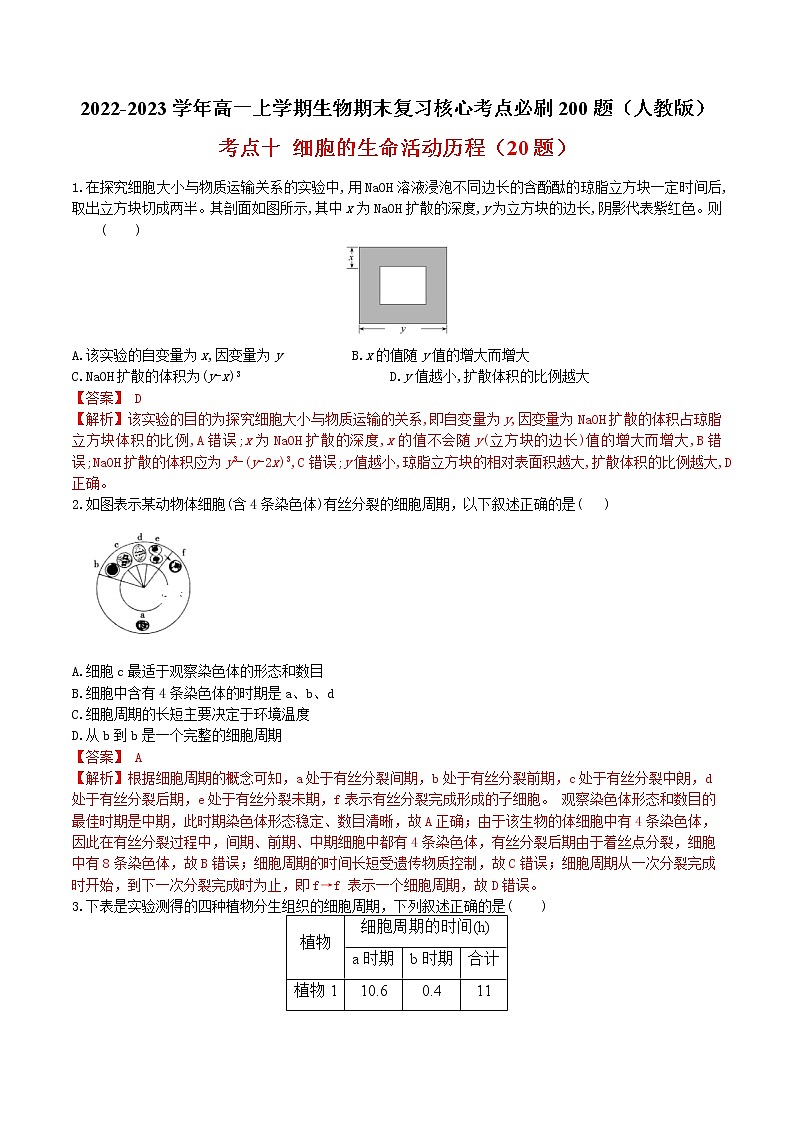 【期末考点复习】人教版(2019)生物必修1 高一上学期期末备考-考点10  细胞的生命活动历程（解析版）第1页