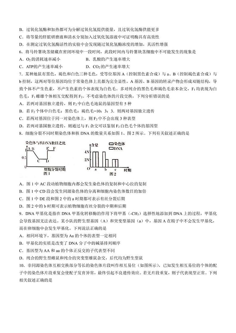 辽宁省葫芦岛市协作校2022-2023学年高三上学期第二次考试生物试题第2页