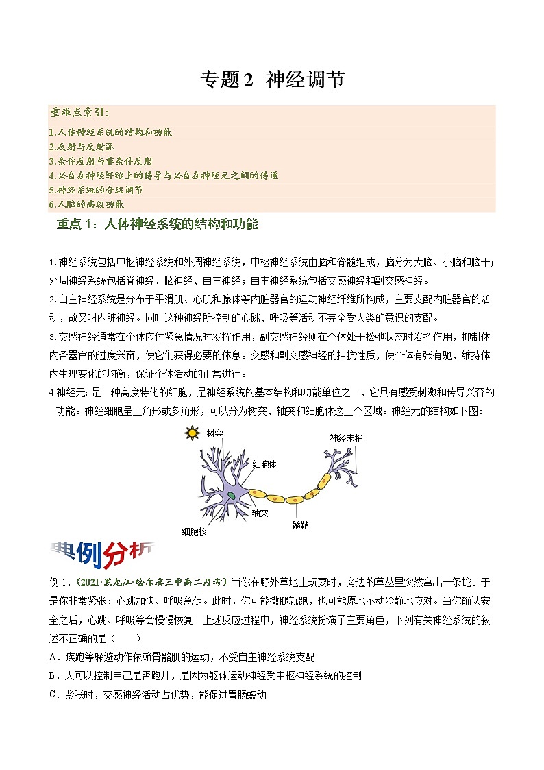 【期末综合备考】人教版(2019)生物高二专题备考：专题2 神经调节（选择性必修1）01