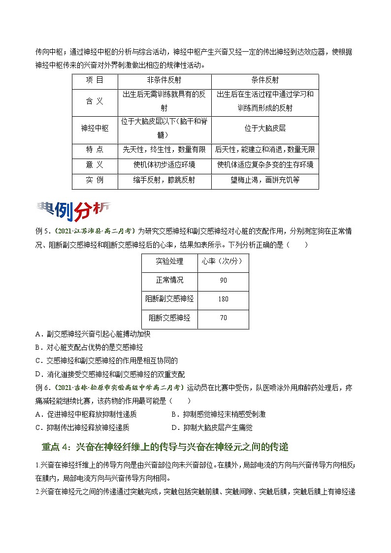 【期末综合备考】人教版(2019)生物高二专题备考：专题2 神经调节（选择性必修1）03