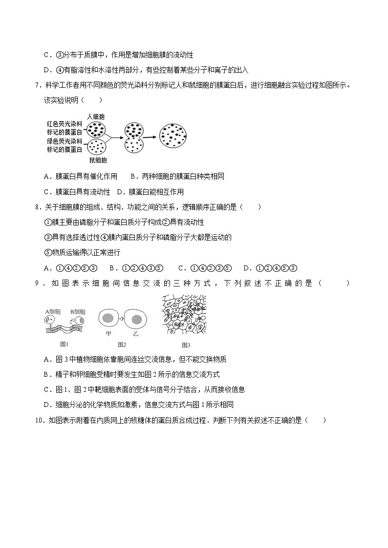【期末考点精练】人教版(2019)高一必修1-期末专攻1 细胞的结构和功能（考点识记+试题精练）（学生版）第3页