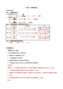 【期末考点精练】人教版(2019)高一生物必修1-期末专攻2 影响酶活性的因素（考点识记+试题精练）