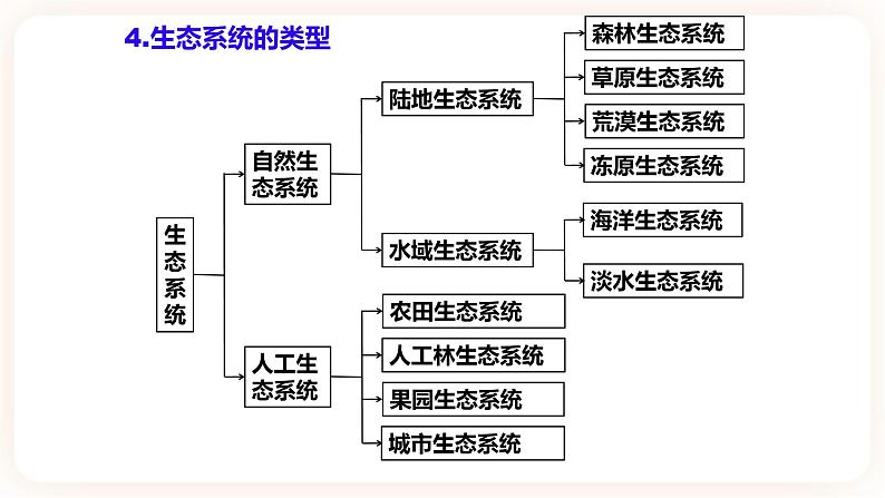 3.1生态系统的结构 课件第6页