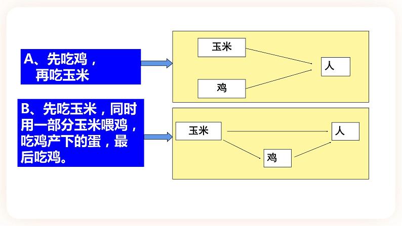 3.2生态系统的能量流动 课件第4页