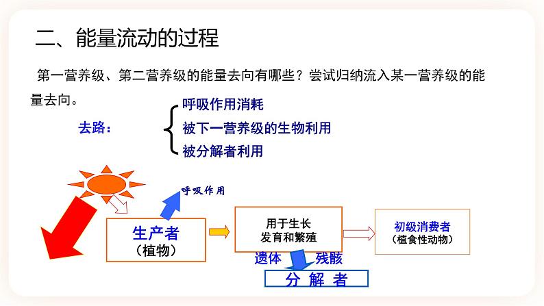 3.2生态系统的能量流动 课件第8页