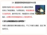 3.4  基因通常是有遗传效应的DNA片段 课件