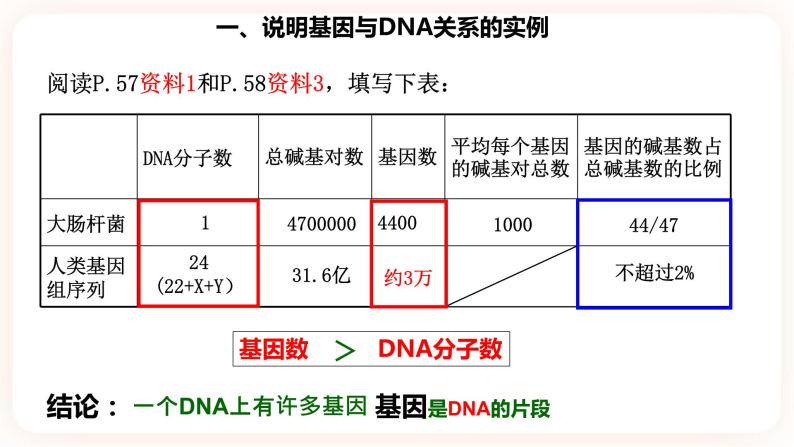 3.4  基因通常是有遗传效应的DNA片段 课件04