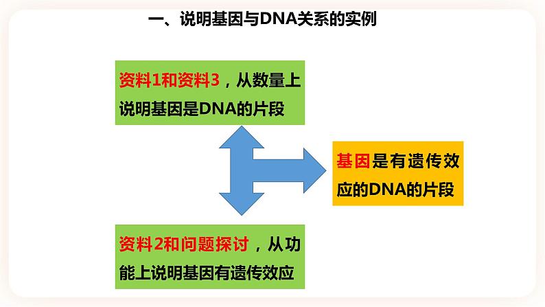 3.4  基因通常是有遗传效应的DNA片段 课件07