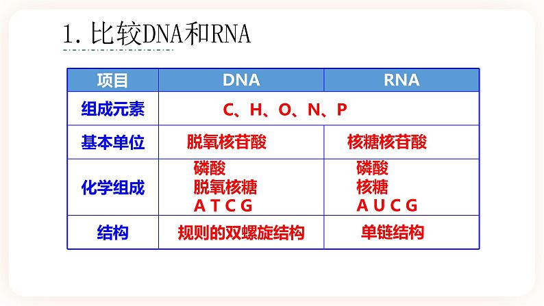 4.1 基因指导蛋白质的合成 课件+素材08