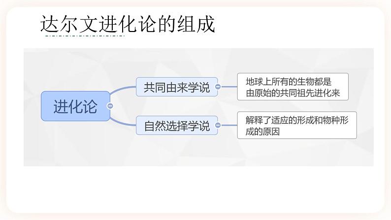 6.1 生物有共同祖先的证据 课件04