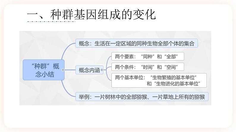 6.3 种群基因组成的变化与物种的形成 课件06