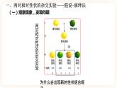 1.2 孟德尔的豌豆杂交实验(二）课件