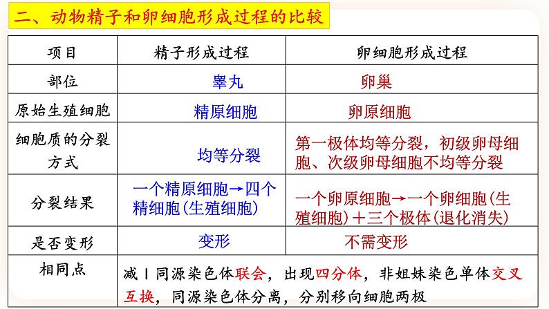 2.1.1 减数分裂 课件（共两课时）07