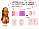 2.1.1 减数分裂 课件（共两课时）