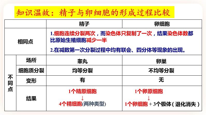 2.1.3 受精作用 课件02