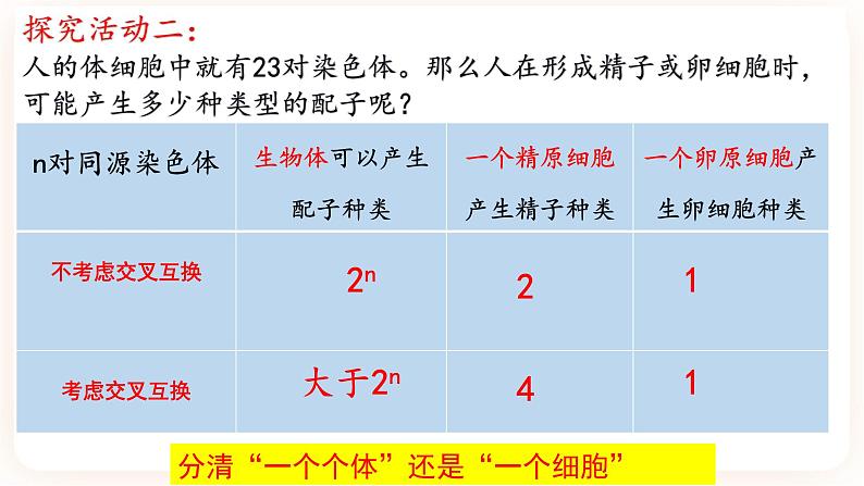 2.1.3 受精作用 课件08