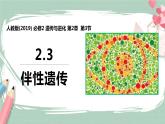 2.3 伴性遗传 课件+素材