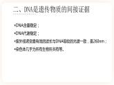 3.1 DNA是主要的遗传物质 课件+素材