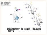 3.2 DNA的结构 课件+素材