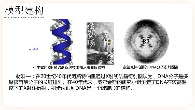 3.2 DNA的结构 课件+素材06