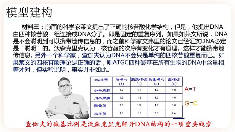 3.2 DNA的结构 课件+素材08