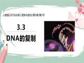 3.3 DNA的复制 课件