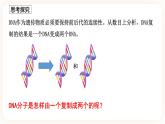 3.3 DNA的复制 课件