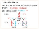 3.3 DNA的复制 课件