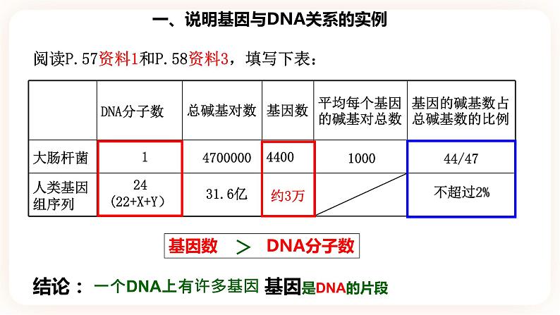 3.4  基因通常是有遗传效应的DNA片段 课件04