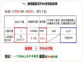 3.4  基因通常是有遗传效应的DNA片段 课件