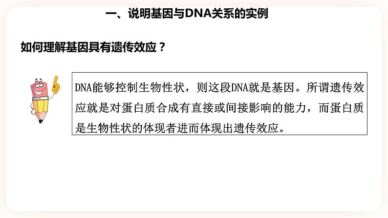 3.4  基因通常是有遗传效应的DNA片段 课件08