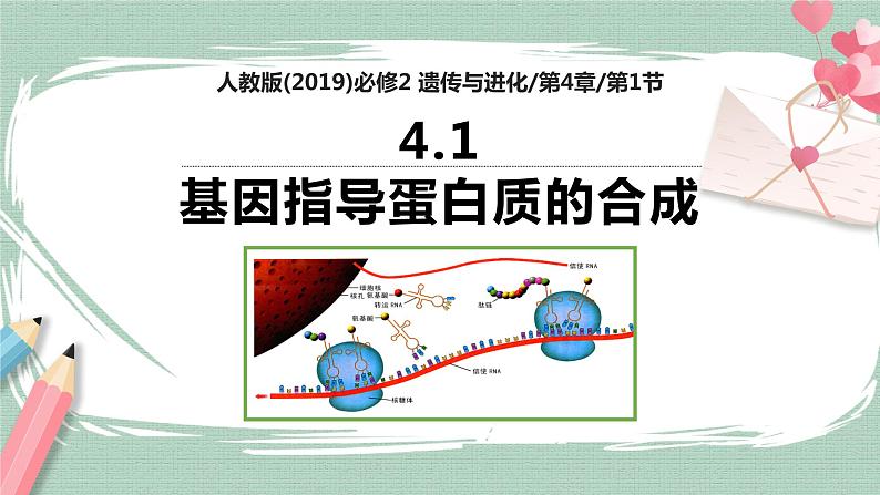 4.1 基因指导蛋白质的合成 课件+素材01